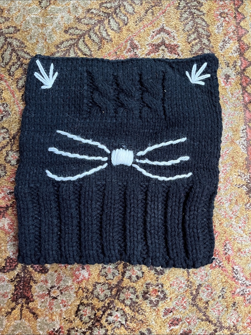 Cat ears + whiskers beanie hat
